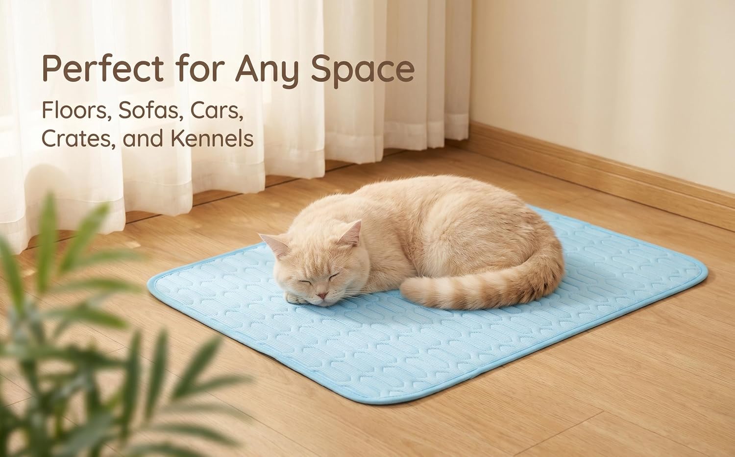 Text reads 'Perfect for Any Space' and 'Floors, Sofas, Cars, Crates, and Kennels.' Light blue pet mat with resting tan cat on wooden floor next to potted plant.